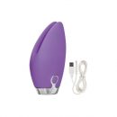 Embrace Foreplay Purple Tickler Vibrator