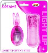 Light Up Pleasure Bunny Egg Pink Vibrator