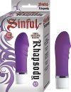 Sinful Rhapsody Purple Vibrator