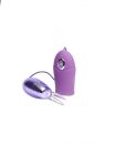 Ribbidy Rabbit Egg Bullet Vibrator Purple