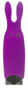 Adrien Lastic Pocket Vibe Purple Clitoral Stimulator