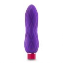 Aria Crystal Plum Purple Bullet Vibrator Kit