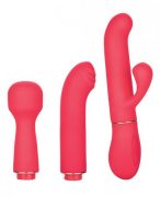 In Touch Passion Trio Pink Vibrator Kit